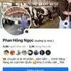 Phan Hồng Ngọc 37 🇻🇳- 🇹🇼 - @phanhongngoc37 - TikTok