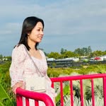 Ngoc Tang - @ktang79 - Instagram