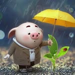 Lê Sơn - @ngok.chang.52831 - Instagram