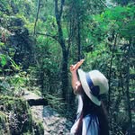 Nguyệt Phan - @nguyetphann_ - Instagram