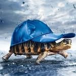 Nhân Quách - @nhanquach037 - Instagram
