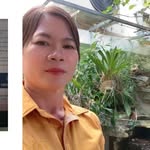 Nhanh Tran - @nhanh.tran.31105 - Instagram