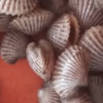 Nhanh Tran - @nhanh8211 - Instagram