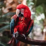 Nhanh Tran - @nhanh552 - Instagram