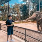 Đào Nhật - @nhat.dao - Instagram