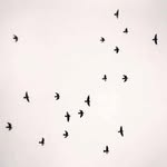Nhat Dao - @_nhat.dao - Instagram