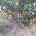 Nhat Doan - @nhat3691 - Instagram
