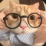 Lưu Nhật - Facebook