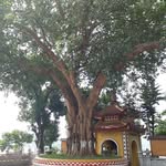 Nhat Luu - @nhatluu75 - Instagram