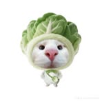 Nhat Vu - Facebook