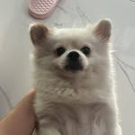 Nhật Vũ - @vm.nhat - Instagram