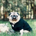Nhi Than - @unhik - Instagram