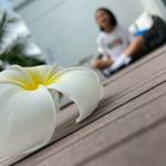 Nhien Vu - @salt_vu00 - Instagram