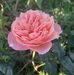 Nhon Ha - Facebook