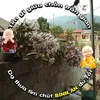 Nhon Ha - @nhon.ha - TikTok