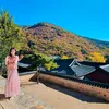 nhung hà - @nhung.ha - TikTok