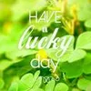 Nhung Hạ - @31689293833 - TikTok