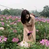 Nhung Ha - @user423985071 - TikTok