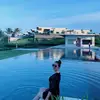 Nhung Lam - @nhung.lam14 - TikTok