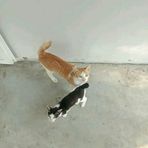 Nhung Phan - Facebook