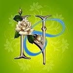 Nhut Tu Le - @nhuttule - Instagram