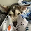 nia bell - @nia.bell - TikTok