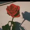 harrisonnia9 - @harrisonnia - TikTok