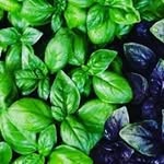 🌿Мечтаешь о правильном питании - @niama_pp - Instagram