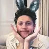 Niall Horan Fan - @niall.horan.irish.king - TikTok