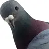taylorandniallsmic - @taylorandniallsmic - TikTok