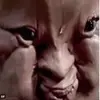 Niall Thomas Higgins  - @ghostskater187 - TikTok