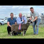 Niall Ward - Facebook