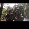 niallayoung - @niallayoung - TikTok