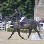 Niamh Ashe- Equine Massage &amp; Rehab Therapist - Facebook