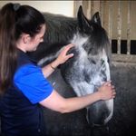 Niamh Ashe- Equine Therapy & Clipping - @niamh_ashe_equine_services - Instagram