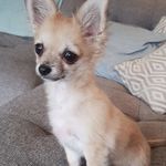 Niamh Barry - @niamh_barry2004 - Instagram