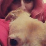 @niamh.gordon.2913696 - Instagram