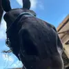 Niamh Gordon - @niamh.gordon0 - TikTok