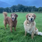 Niamh Mitchell - @niahelm - Instagram