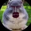 Niamh - @niamh.morris4 - TikTok