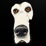Nicholas Alexander Chavez - @nicholasalexanderchavez - Instagram
