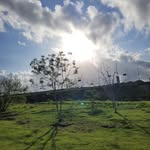 Nic Andrade | Social Midia - @nicsandrade - Instagram
