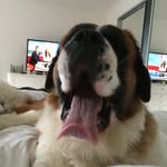 Nic Barnes - @npbarnes67 - Instagram
