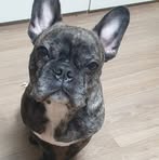 Nic Bennett - Facebook