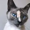 user3429195888143 - @nicbern0 - TikTok