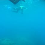 @nicbishop71 - Instagram
