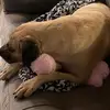 nicbishop - @mama.bish - TikTok