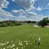 Nic Burke - @unknowngolfer7 - TikTok