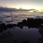 Nic Campbell - @niccampbell_ - Instagram