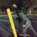 Nick Carr - Facebook